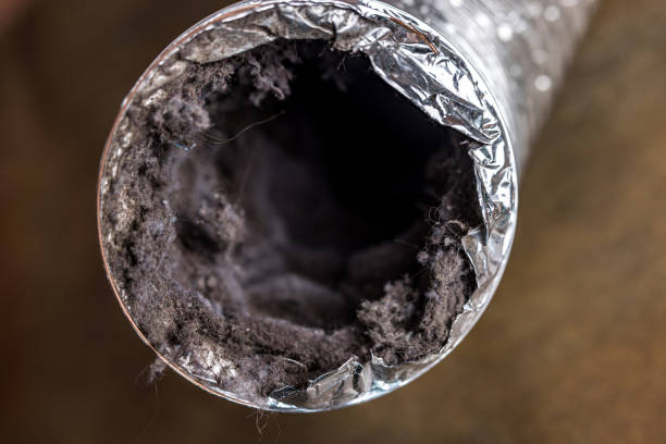 Best HVAC Duct Inspection Services  in Homeland, GA