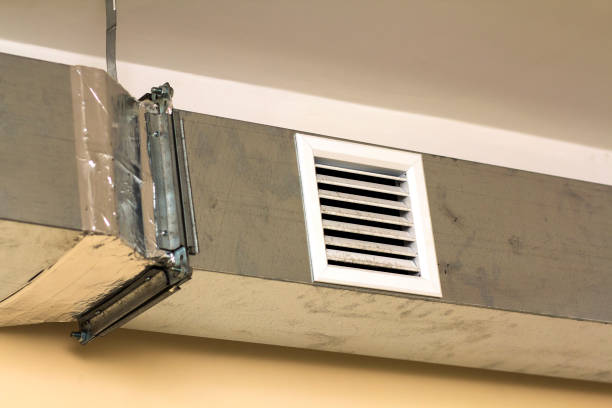 Best Professional Duct Cleaning Services  in Homeland, GA