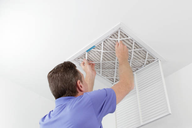 Best Local Air Duct Cleaning Services  in Homeland, GA